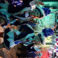 Fasching beim WCC - Bild 24 von 186