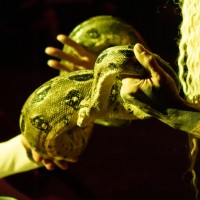 Fasching beim WCC - Bild 133 von 186